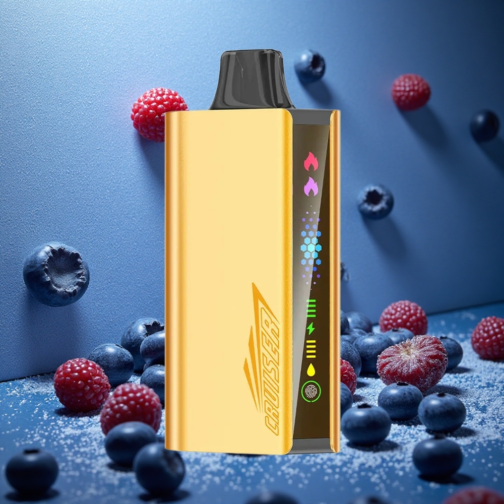 Blåbärs Smak JNR Cruiser 12000 Puffs Inbyggd 3500 mAh Batteri Sverige grossist