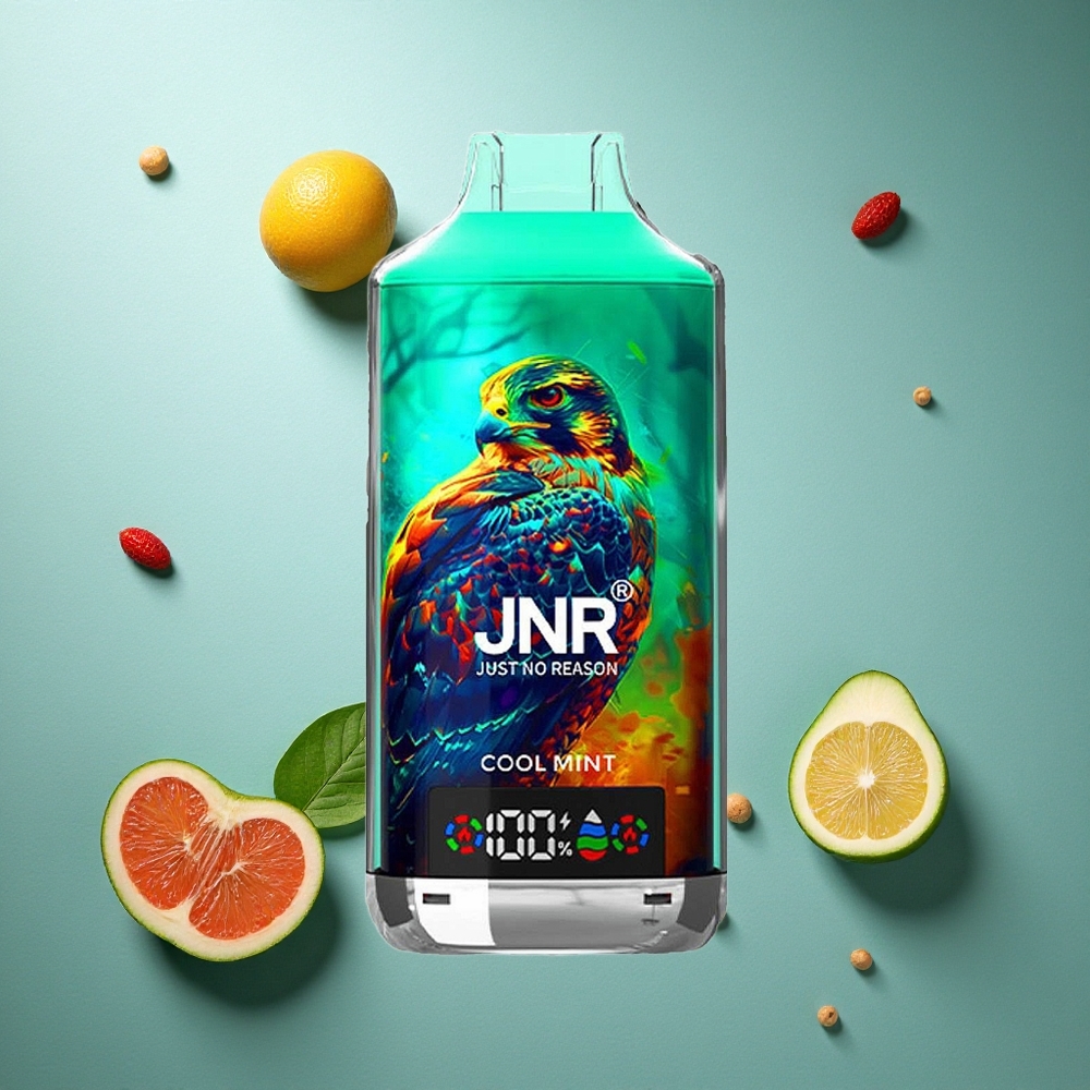 Kylig mynta JNR Falcon X 18000 Puffs 24ml Digital Display Sverige grossist