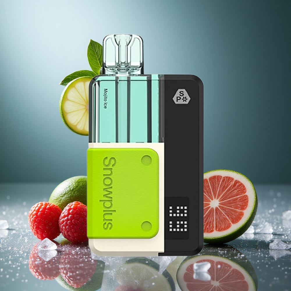 Mojito Is Snowplus Swift 5000 Puffs Dual Mesh 1000 mAh Sverige grossist