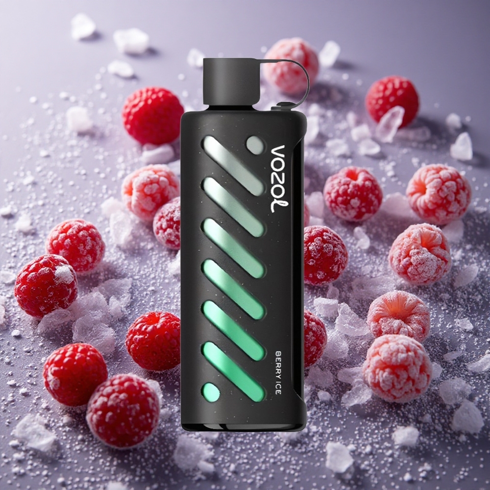 Bär Is VOZOL Gear Shisha 25000 Puffar Dual Mesh Dual Modes Sverige grossist