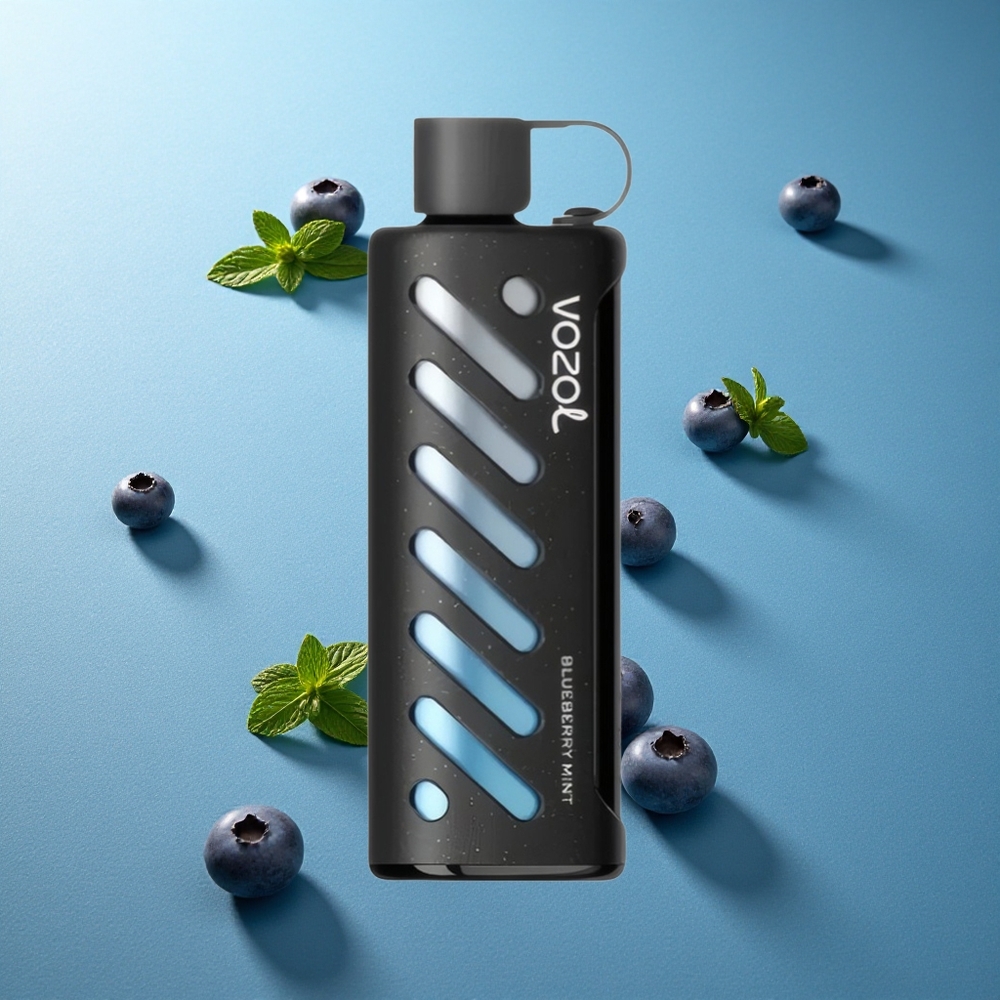Blåbär Mynta VOZOL Gear Shisha 25000 Puffar Dual Mesh Dual Modes Sverige grossist