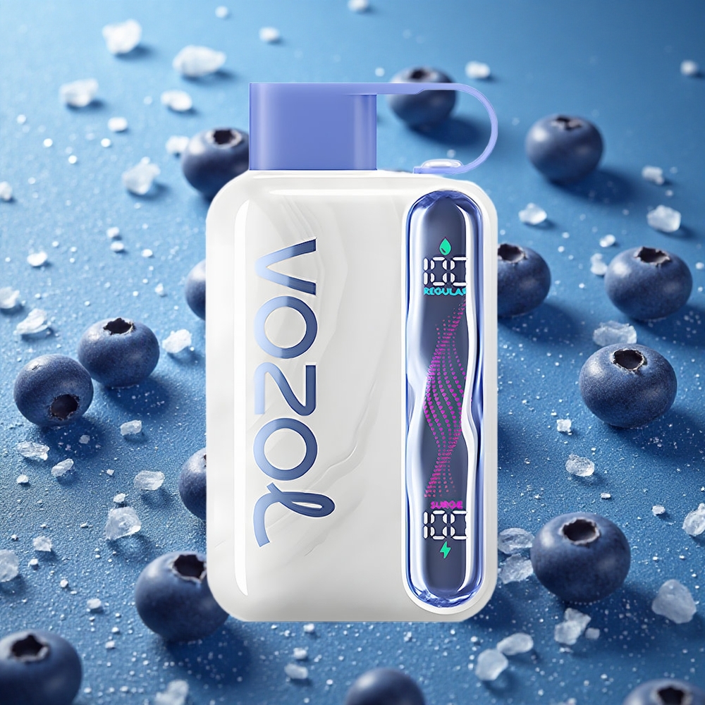 Blåbär Is VOZOL STAR 40000 Engångs Vape 1000mAh Batteri 20/50mg/ml Nikotin Sverige grossist