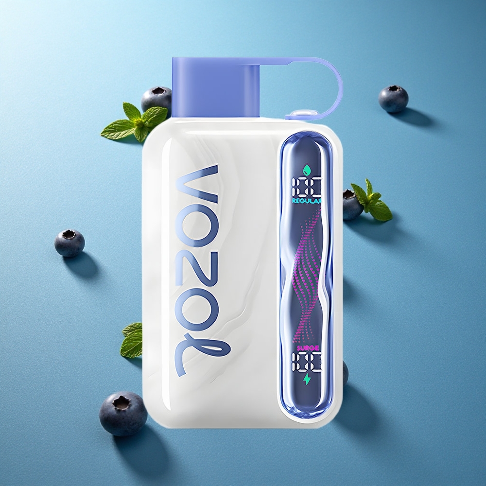 Blåbär Mynta VOZOL STAR 40000 Puffs 1000mAh Typ-C Sverige grossist