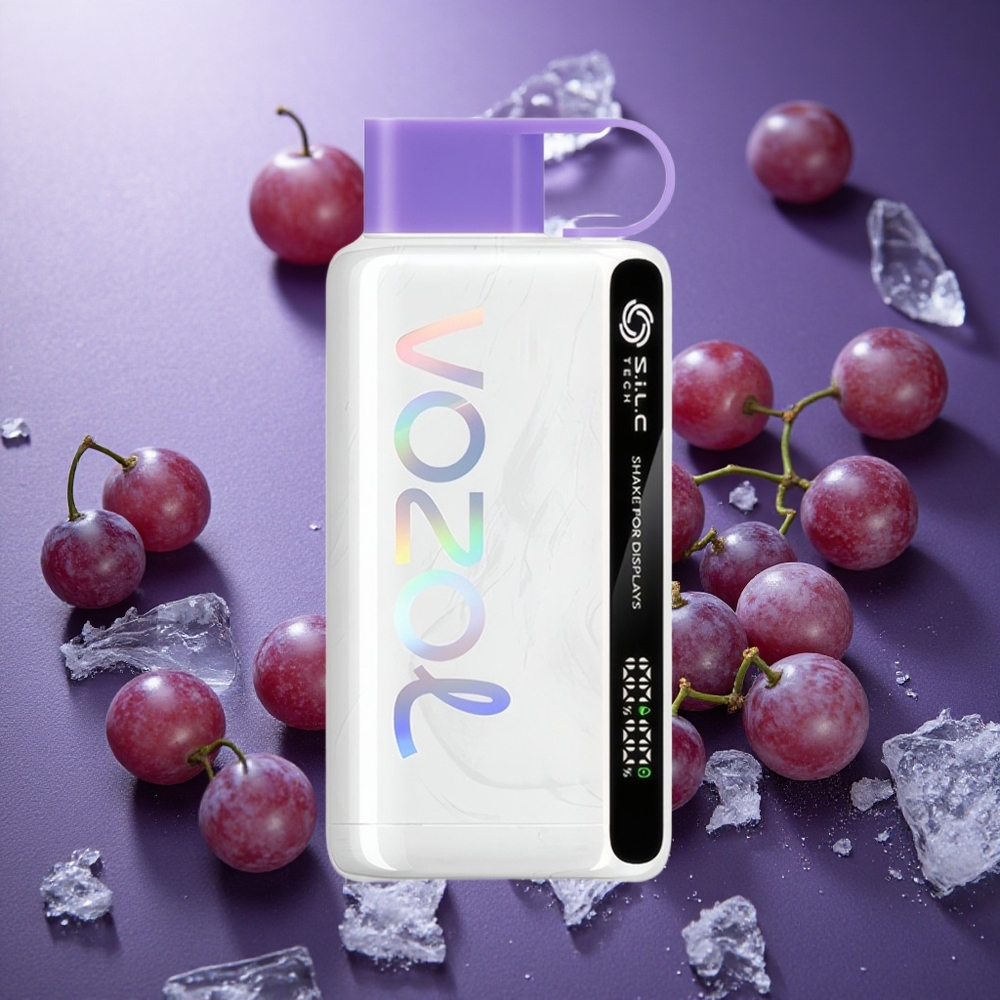 Vinbär Is VOZOL STAR 9000/12000 Engångs Vape 650mAh Batterikapacitet 30% snabbare laddning Sverige grossist